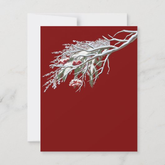 Winter Celebrations in the Snow, with Kittens 案内状 (裏面)