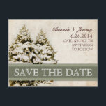 Winter Evergreensヴィンテージ保存日 案内ポストカード<br><div class="desc">この美しく上品なクリスマスの発表結婚は、緑の黄麻帯の側面に雪のある冬の松の木のイメージと古いヴィンテージ紙の質感を特徴とする。冬の素晴らし結婚式、クリスマスの結婚式、または休日の結婚式を探している花嫁の場合はかわいらし、クラシック、およびヴィンテージを探す場合は結婚すべて結婚。アイボリーかわいらしとエレガントセージの緑の色またはベージュと緑を特徴とする結婚式のためにも、この発表と婚約は良い。私の店で利用可能なマッチング招待状を探す！クリスマスパーティの招待状や新年のパーティーとしても使用できる。</div>