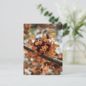 Winter Fire Holiday Postcard ポストカード (スタンド正面)