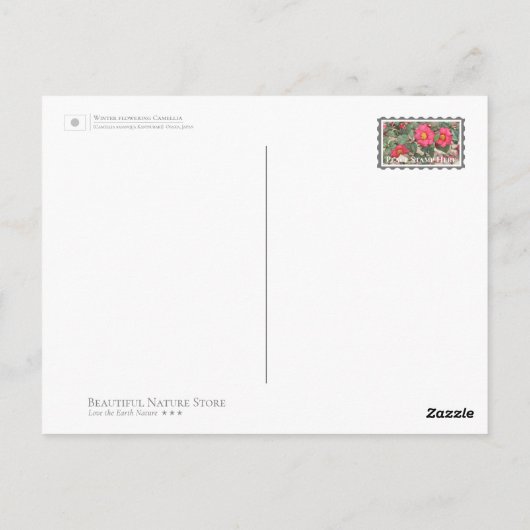 Winter flowering Camellia ポストカード (裏面)