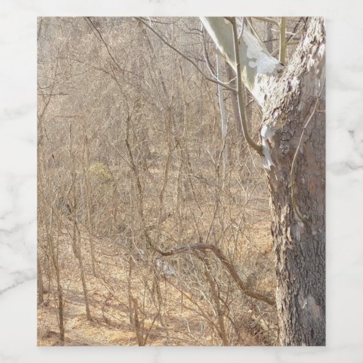 winter forest  ワインラベル (シングルラベル)