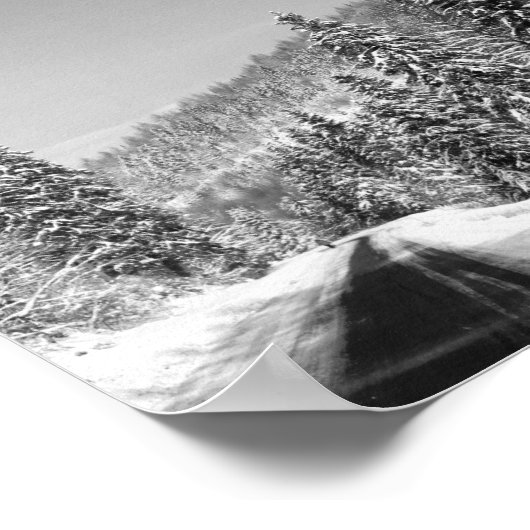 Winter Forest Road ポスター (角)