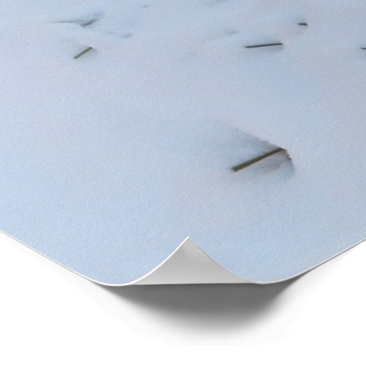 Winter Fox ポスター (角)