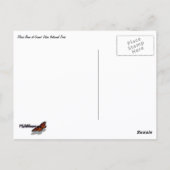 Winter Fox ポストカード (裏面)