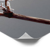 Winter Frosted branch ポスター (角)