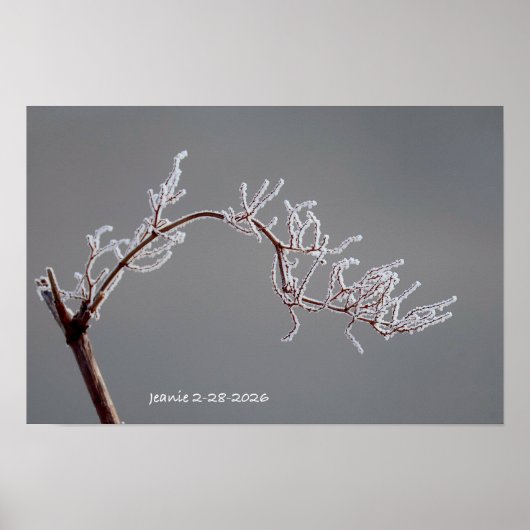 Winter Frosted branch ポスター (正面)