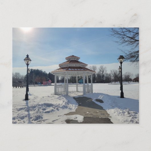 Winter Gazebo Taylor Michigan Postcard シーズンポストカード (正面)