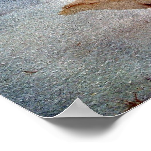 Winter Geese ポスター (角)