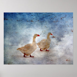 Winter Geese ポスター