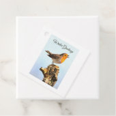 Winter Greetings. Robin singing  フェイバータグ (インサイチュ)