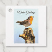 Winter Greetings. Robin singing  フェイバータグ (正面)