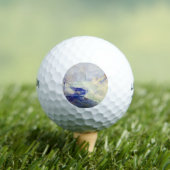 Winter (Guyバラ) ゴルフボール (インサイチュ 木)