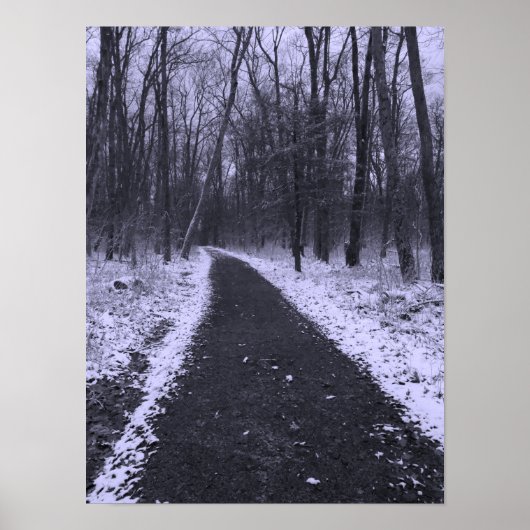 Winter Hike ポスター (正面)