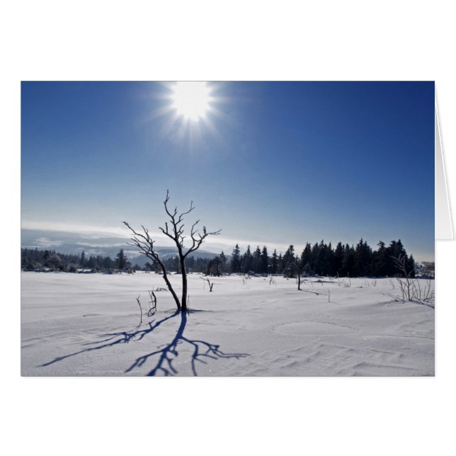 Winter im Schwarzwald (正面横)
