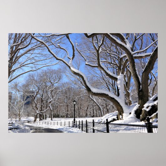 Winter in Central Park, New York City ポスター (正面)