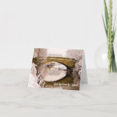 Winter in Pollok Park, Glasgow, Scotland カード (正面)