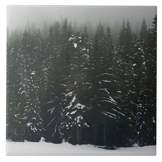 Winter in the Mountain Forest タイル (正面)