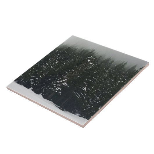 Winter in the Mountain Forest タイル (側面)