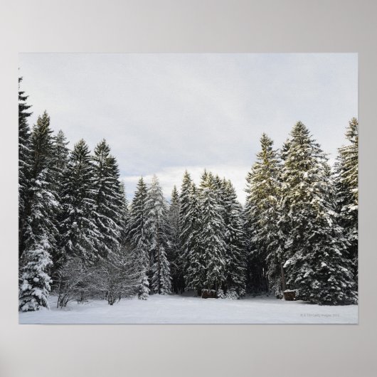 Winter Landscape near Koenigsfeld, Black Forest, ポスター (正面)