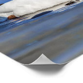 Winter Love Swan Couleポスター ポスター (角)