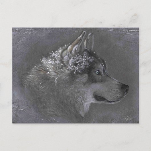 Winter Maker ポストカード (正面)