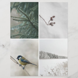 Winter Nature: Christmas Scrapbook Cutout paper