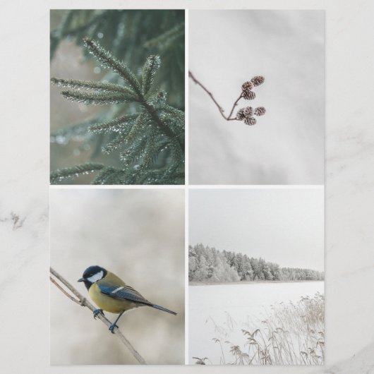 Winter Nature: Christmas Scrapbook Cutout paper (正面)