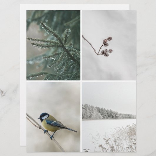 Winter Nature: Christmas Scrapbook Cutout paper (正面/裏面)