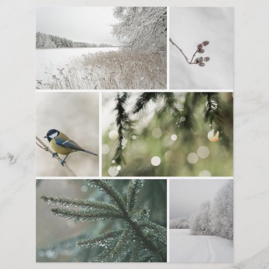 Winter Nature: Christmas Scrapbook Cutout paper (正面)