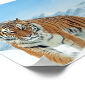 Winter Nature Photo Snow Tiger Mountains Poster ポスター (角)