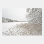 Winter nature, set of 3 different art photos ラッピングペーパーシート (正面2)