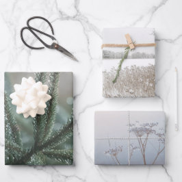 Winter nature, set of 3 different art photos ラッピングペーパーシート