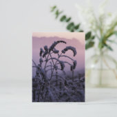 Winter, Norfolk, England – はがき (スタンド正面)