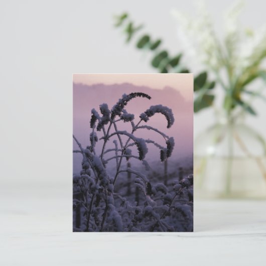 Winter, Norfolk, England – はがき (スタンド正面)