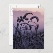 Winter, Norfolk, England – はがき (正面/裏面)