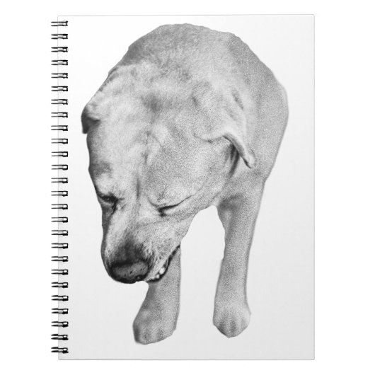 Winter Notes with Shaded Lab Muse ノートブック (正面)