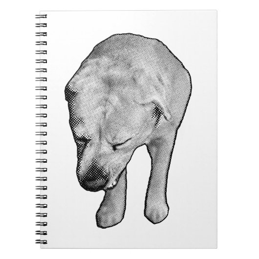 Winter Notes with Speckled Lab Muse ノートブック (正面)