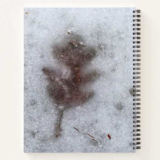 Winter Oak Leaf in Ice Notebook ノートブック (裏面)