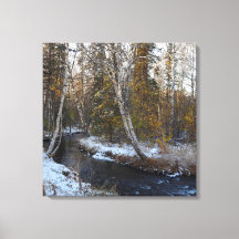 Winter on Chester Creek Stretted Canvas Print