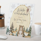 Winter ONEderland First Birthday Welcome Sign 台座サイン (インサイチュ)