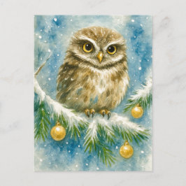 Winter Owl on Snowy Branch Christmas Postcard シーズンポストカード