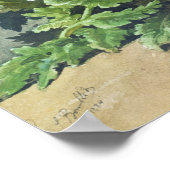 Winter Pansies, 1884 ポスター (角)