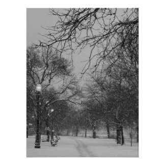 Winter Path ポスター