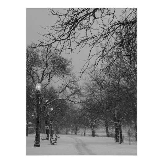 Winter Path ポスター (正面)