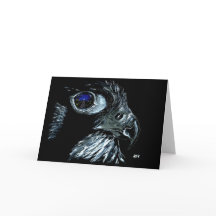 Winter Peregrine Traditional（フロントテキストなし）