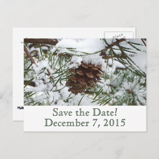 Winter Pine日付はがきを保存 案内ポストカード (正面/裏面)