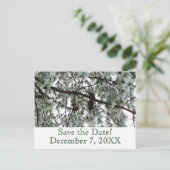 Winter Pine日付はがきを保存 案内ポストカード (スタンド正面)