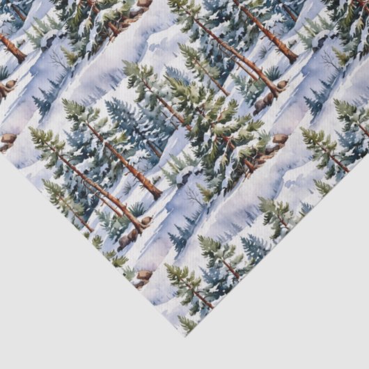 Winter Pine Trees in Watercolor  薄葉紙 (詳細)