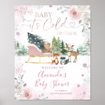 Winter Pink Snowflake Sleigh Baby Shower Welcome