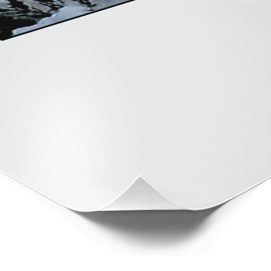 winter scene フォトプリント            (角)